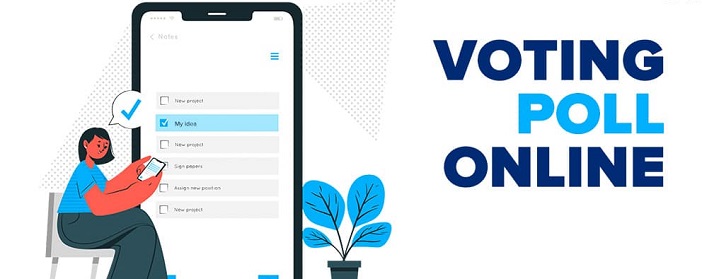 Online Poll campaign strategies